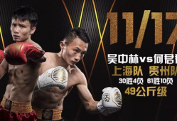 华夏直播91,揭秘热门直播平台的魅力与挑战